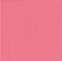 GIF by Temple Caché