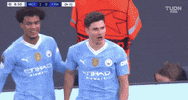 Champions League Football GIF by UEFA