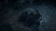 Fun Friends GIF by Adim