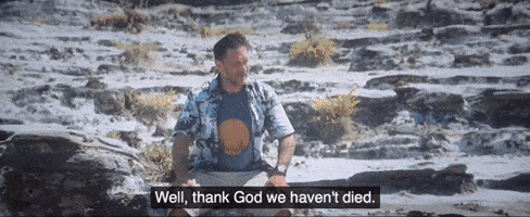 d4441 giphyupload GIF