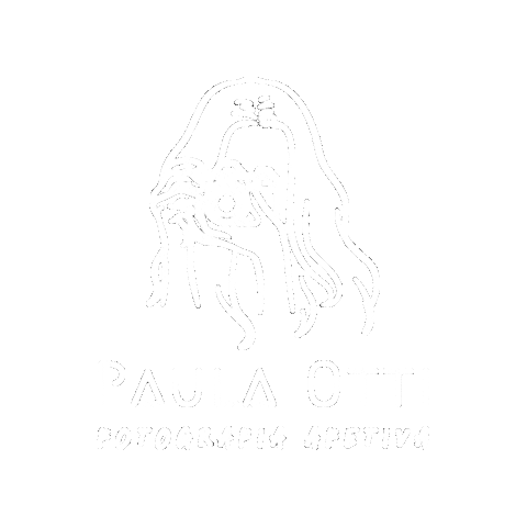 Logo Camera Sticker by Paula Otti photography