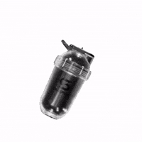 Gym Wellness GIF by Eszter Beardsell