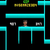 Maze 304 Mose GIF