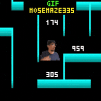 Maze 335 Mose GIF