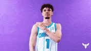 Lamelo Ball Nba GIF by Charlotte Hornets