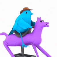 Brrd GIF