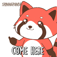 Come Red Panda Sticker