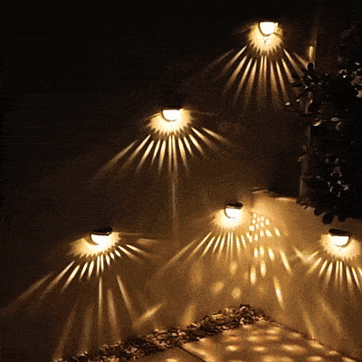 Soolaa giphyupload GIF