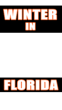 florida gators summer Sticker by University of Florida