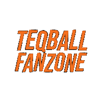Fan Sticker by Teqball