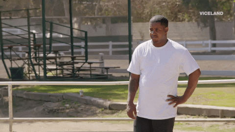 jasper dolphin wtf GIF by JASPER & ERROL'S FIRST TIME