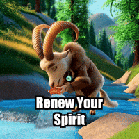 Peace Wisdom GIF by Radiantelope