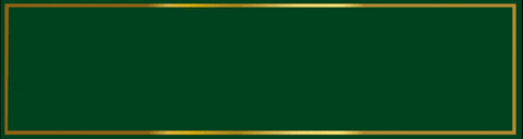 Cheers GIF by Staropramen Beer