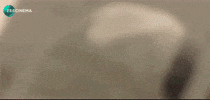 War Love GIF by Zee Cinema Channel