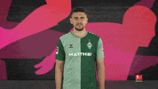 Werder Bremen Hair GIF by Bundesliga