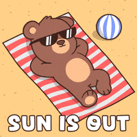 Sunbathing Teddy Bear GIF by BEARISH