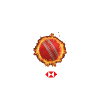 Cricket Sticker by HSBC India