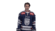 Celebration Goal Sticker by Fehervar AV19