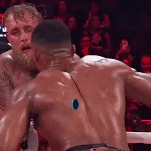 Jake Paul Boxing GIF by Marcel Katz Dalí / The Art Plug