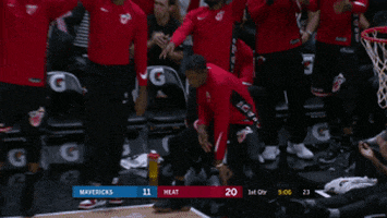 Miami Heat Good Job GIF by NBA