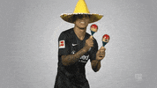 Eintracht Frankfurt Football GIF by Bundesliga