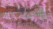 GIF by Leo Pyrata