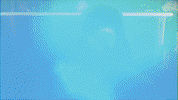 baseball wave GIF by GreenWave