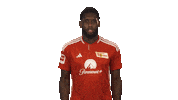 Union Berlin Football Sticker by Bundesliga
