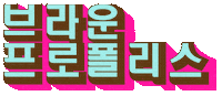 kyowon_theorm 더오름 교원더오름 웰씨드프로폴리스 kyowontheorm Sticker