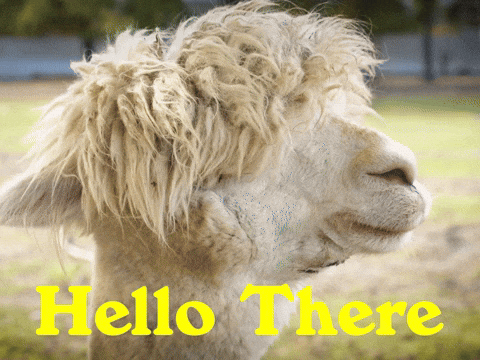 Its Me Hello GIF by Sealed With A GIF