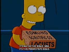 homer simpson episode 13 GIF