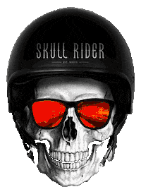 fashion halloween Sticker by Skull Rider