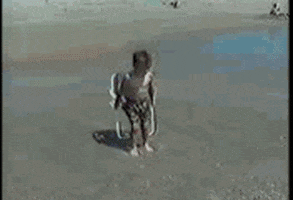 Video gif. Retro footage of a little boy on the beach, pulling a folding chair toward the waves. He scoots forward and sits down, then scoots forward again before being knocked over by a huge wave.