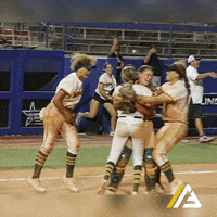 thealliancefastpitch softball fastpitch the alliance fastpitch alliance fastpitch GIF