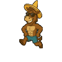 MrSanchosCozumel happy celebration lets go jump Sticker