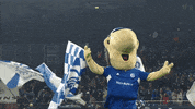 Football Win GIF by FC Schalke 04