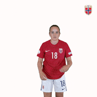 Czech Republic Women GIF by Norges Fotballforbund
