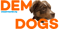 texasdemocrats dog puppy texas debate Sticker