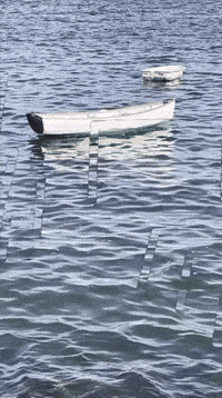 Summer Water GIF by Tienqa