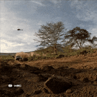 Coming Sports Car GIF by FIA World Rally Championship