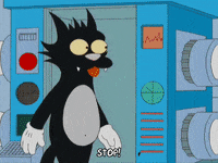 episode 7 cat GIF