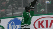 FOXSportsSW party celebration celebrate hockey GIF