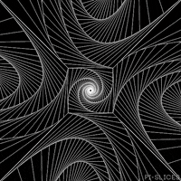 pislices loop 3d trippy black and white GIF