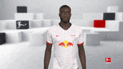Looking Line Up GIF by Bundesliga