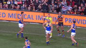 round 15 afl GIF by Adelaide Crows