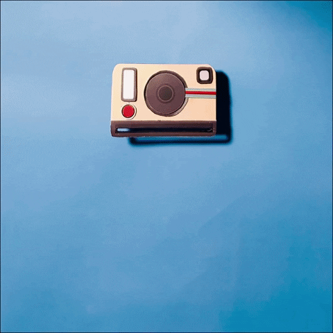 tuicial giphyupload GIF