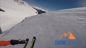 Snowcountry snow ski powder snowcountry GIF