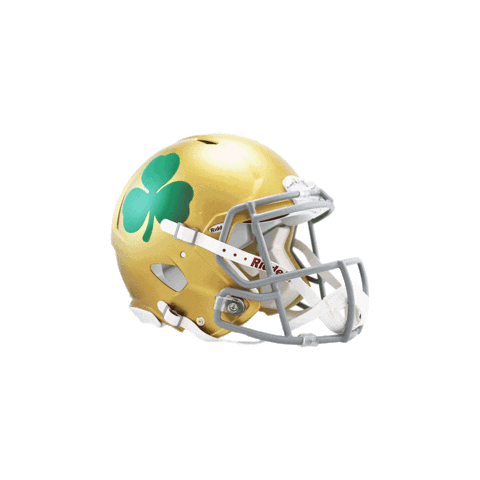 Notre Dame Football Sticker by Riddell Sports