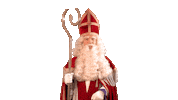 5December Sintenpiet Sticker by benniesolo