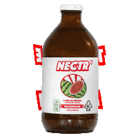 drinknectr sparkling water nectr Sticker